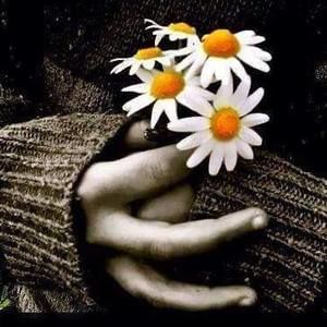 Meet your Posher, Sandy